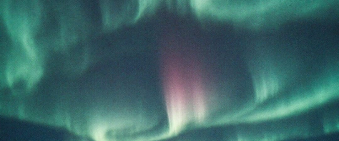 Aurora Fields cover art